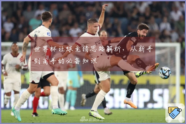 世界杯让球竞猜思路解析，从新手到高手的必备知识