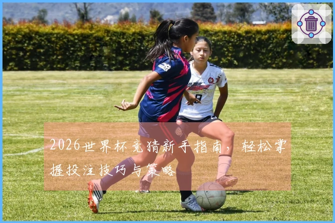 2026世界杯竞猜新手指南，轻松掌握投注技巧与策略
