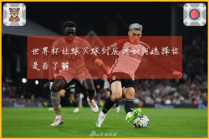 世界杯让球买球到底该如何选择你是否了解