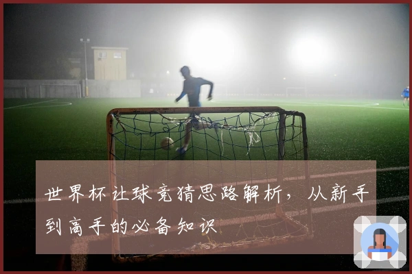 世界杯让球竞猜思路解析，从新手到高手的必备知识