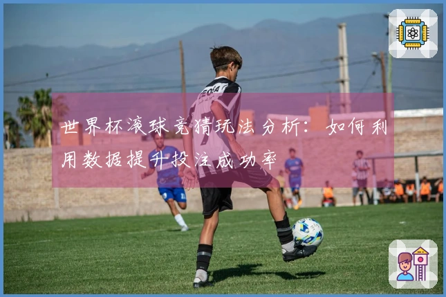 世界杯滚球竞猜玩法分析：如何利用数据提升投注成功率
