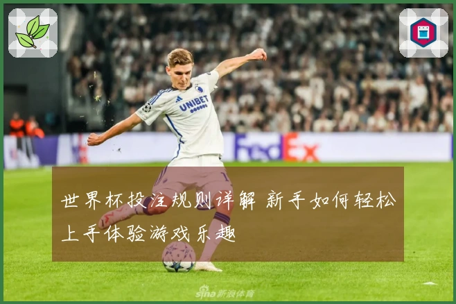 世界杯投注规则详解 新手如何轻松上手体验游戏乐趣